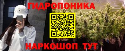ГАЛЛЮЦИНОГЕННЫЕ ГРИБЫ Новозыбков