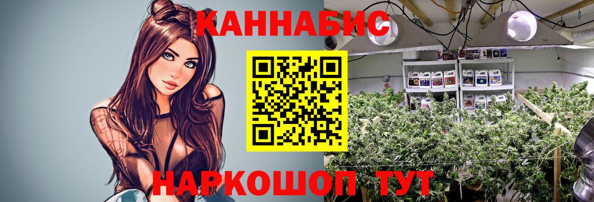 МАРИХУАНА конопля Великий Новгород